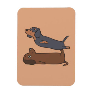 Íman Acroyoga Dachshund Presente de Dachshund Lover