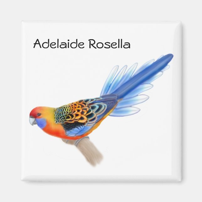 Íman Adelaide Rosella Parrot Magnet (Frente)