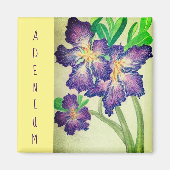 Íman Adenio (Frente)