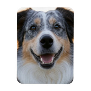 Íman Adicionar Foto de Animal Personalizar