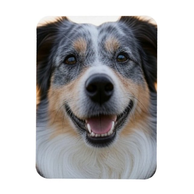 Íman Adicionar Foto de Animal Personalizar (Vertical)