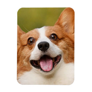 Íman Adicionar Foto de Cão Personalizada Personalizada