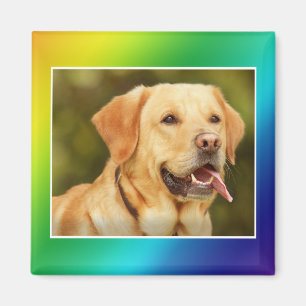 ÍMAN ADICIONAR FOTO DE PETS