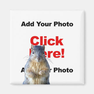 Íman Adicionar um ímã personalizado de esquilo