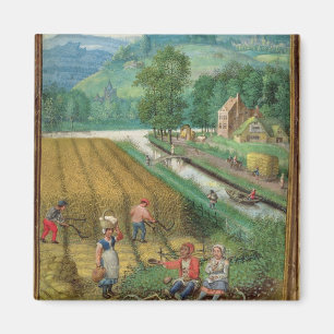 Íman Adicione 18855 setembro: colheita, ploughing e