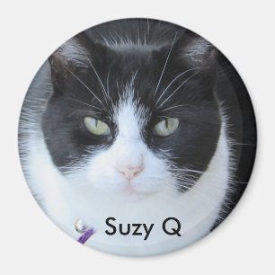 Íman Adicione a foto do seu gato a este ímã do