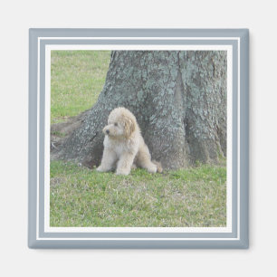 Íman Adicione sua foto ao azul moderno & ao branco da