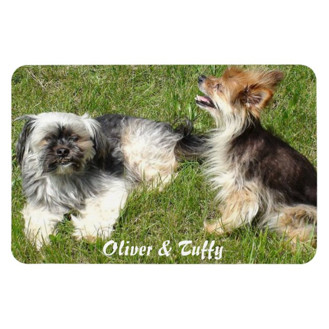 Íman Adicione sua foto favorita (Horizontal)