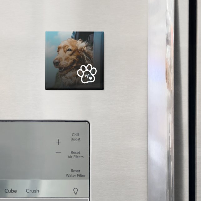 Íman Adicione Sua Própria Foto de Cachorro Pets Monogra (In Situ (Fridge))