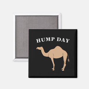 Íman Adivinhem Que Dia É O Deserto Do Camelo Hump Day