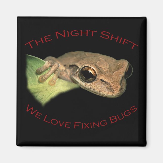 Íman Adoramos consertar Insetos (Frente)