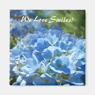 Íman Adoramos Sorrisos! Ímanes Blue Hydrangea Flowers