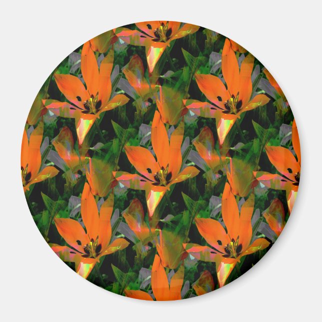 Íman Adorando Tulipas... (Frente)