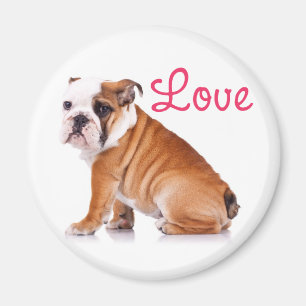 Íman Adorável Amante de Bulldog Inglês Cachorro Engraça