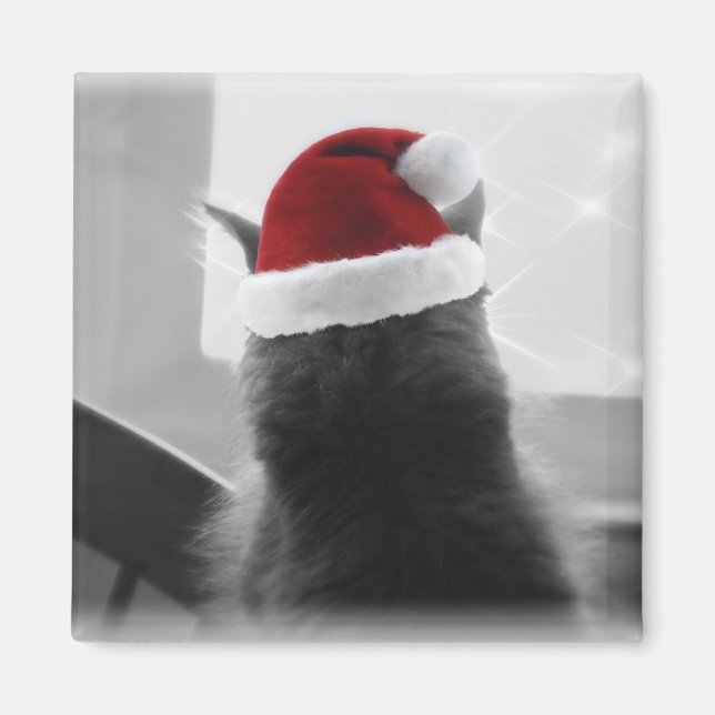 Íman Adorável Kitten de Natal (Frente)
