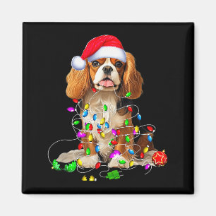 Íman Adorno de Natal do Cão Cavalier King Charles Spani