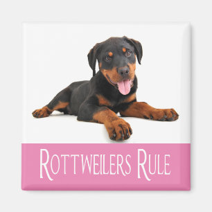 Íman Adoro o cachorro do Rottweiler