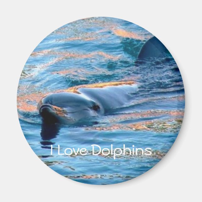 Íman Adoro o Magnet de Golfinhos (Frente)