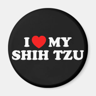 Íman Adoro o meu magnata Shih Tzu