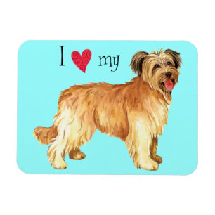 Íman Adoro o meu Pastor Pirenéus