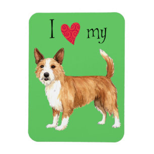 Íman Adoro o meu Podengo Pequeno Português