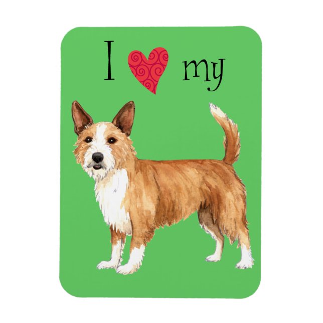 Íman Adoro o meu Podengo Pequeno Português (Vertical)