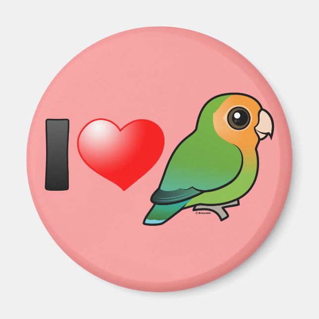 Íman Adoro Orangeface Peach-face Lovebird (Frente)
