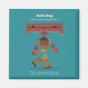 ÍMAN ADOTE UM CÃO RESGATADO!