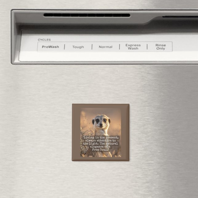 Íman Adventurous Meerkat Living (In Situ (Dishwasher))