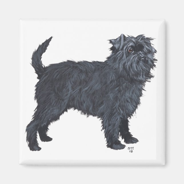 Íman Affenpinscher (Frente)