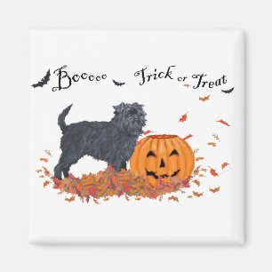 Íman Affenpinscher Dia das Bruxas