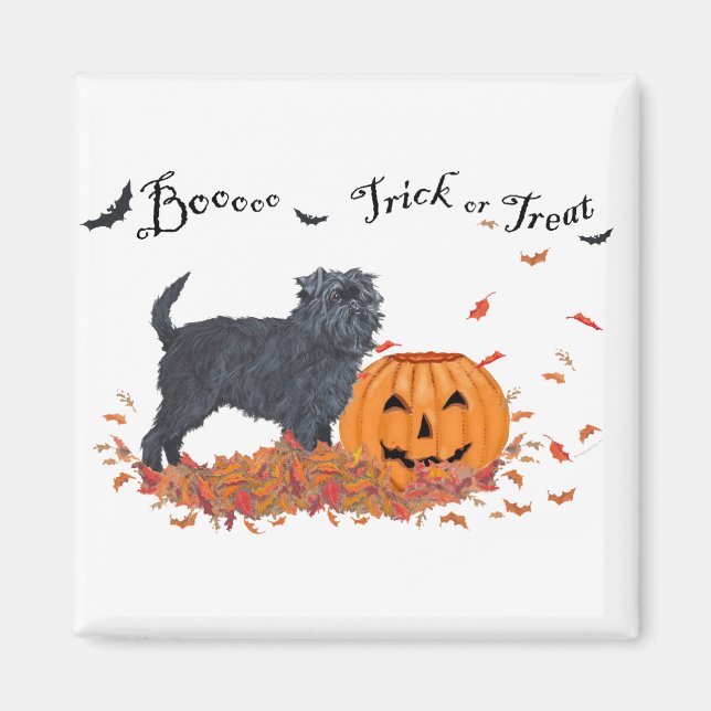 Íman Affenpinscher Dia das Bruxas (Frente)