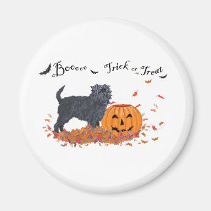 Íman Affenpinscher Dia das Bruxas