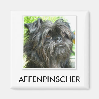 Íman Affenpinscher Magnet