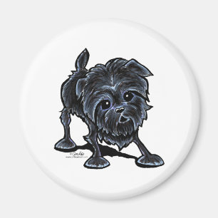 Íman Affenpinscher no jogo