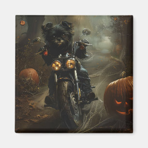 Íman Affenpinscher Pilotando Motocicleta Halloween Assu