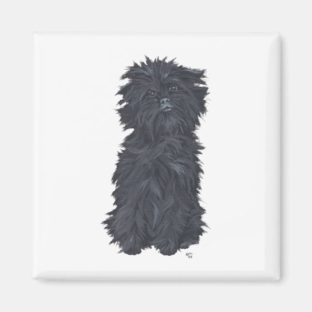 Íman Affenpinscher Sentado (Frente)