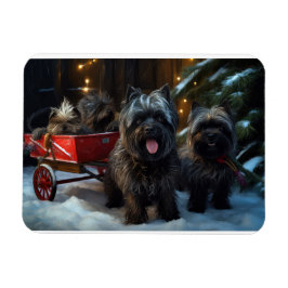 Íman Affenpinscher Snowy Sleigh Passeia Decência de Nat