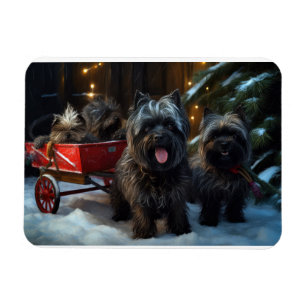 Íman Affenpinscher Snowy Sleigh Passeia Decência de Nat
