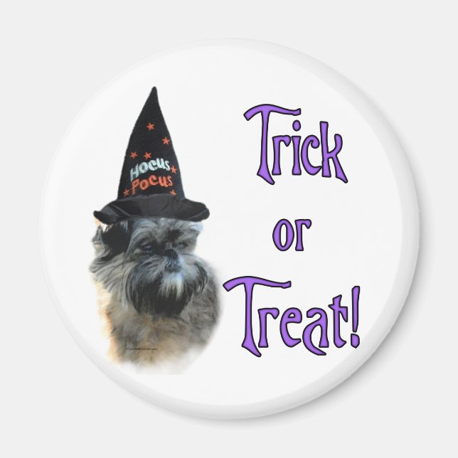 Íman Affenpinscher Trick (Frente)