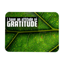Íman Afirmação de Motivação "Atitude de gratidão"