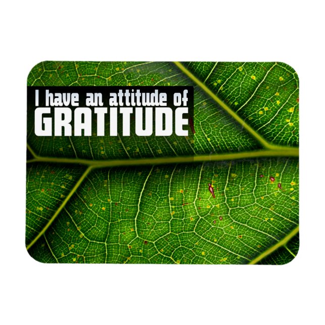 Íman Afirmação de Motivação "Atitude de gratidão" (Horizontal)