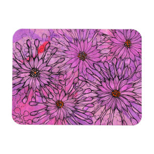 Íman África Daisy Cape Daisies Flores Rosa Arte Floral