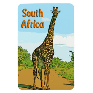 Íman África do Sul