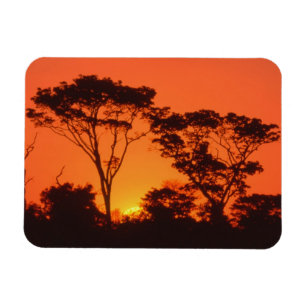 Íman África do Sul. Pôr do sol africano.