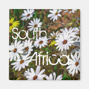Íman África do Sul Velddrif West Coast Wild Flowers