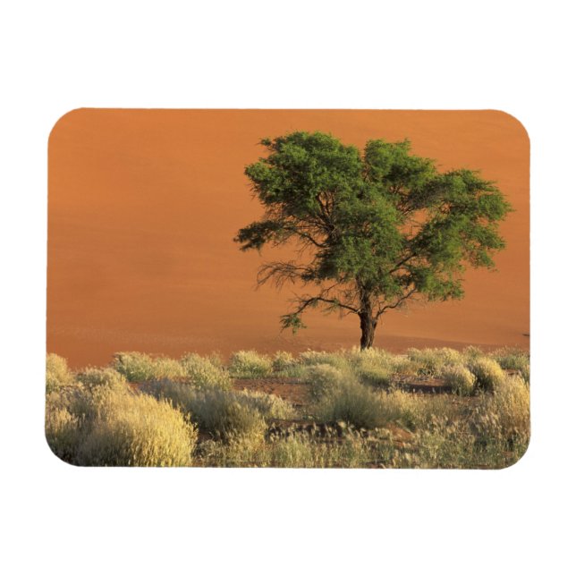 Íman África, Namíbia, Parque Nacional do Namibe, Sossus (Horizontal)