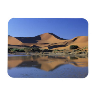 Íman África, Namíbia, Parque Nacional Namib, Sossusvl