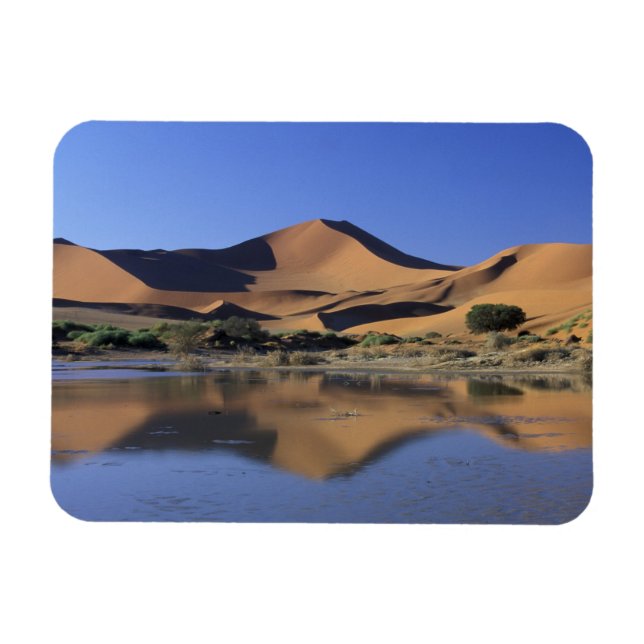 Íman África, Namíbia, Parque Nacional Namib, Sossusvlei (Horizontal)