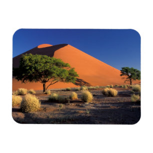 Íman África, Namíbia, Parque Namib-Naukluff, Sossosvl